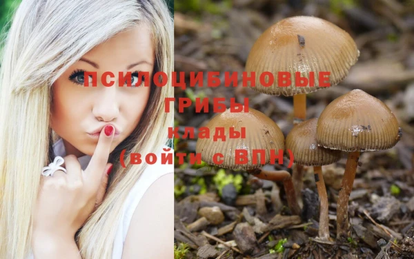 герыч Абаза