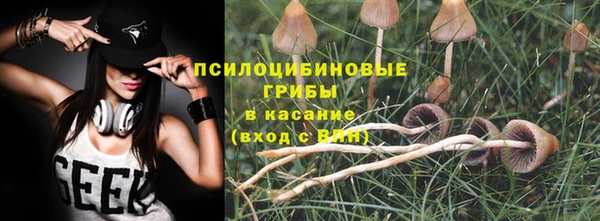 ПСИЛОЦИБИНОВЫЕ ГРИБЫ Абинск